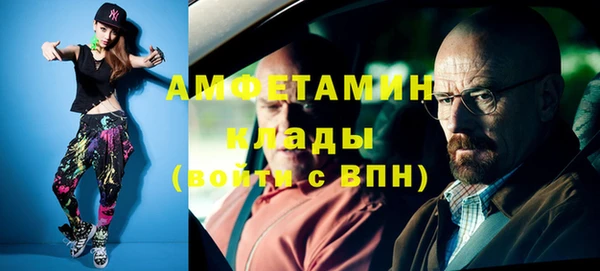 мдпв Гусев