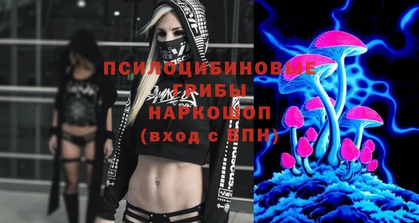 круглые Алзамай