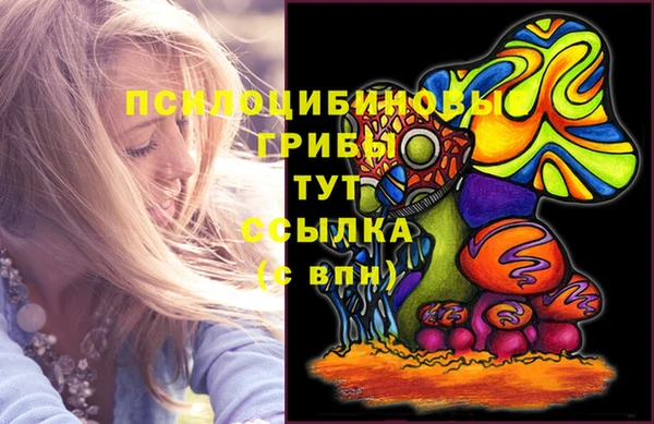 круглые Алзамай