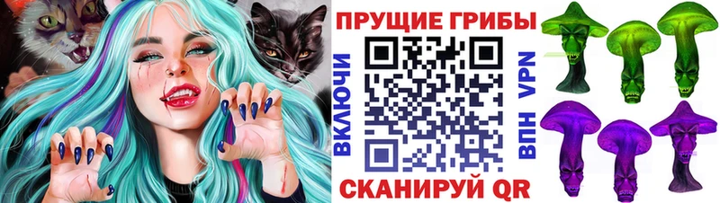 Псилоцибиновые грибы прущие грибы  Новокубанск 